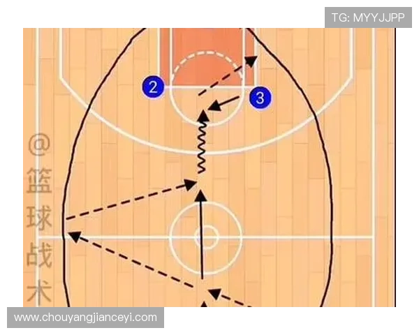 深入分析北京排球队快攻战术的特点与应用策略